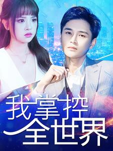 我掌控全世界（100集）剧情介绍