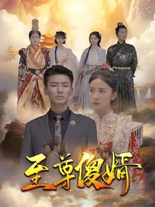 至尊傻婿（82集）太燃了