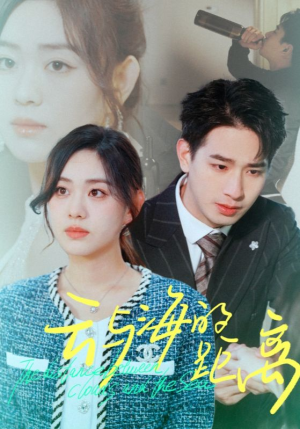 云与海的距离（34集）更新完了吗
