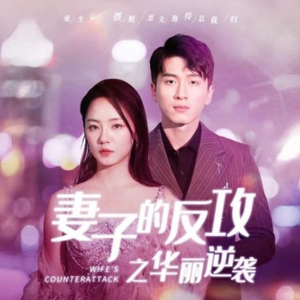 妻子的反攻之华丽逆袭（30集）全集免费