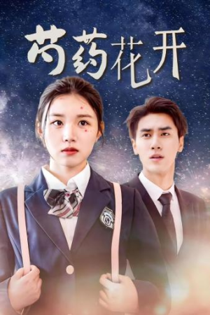 芍药花开&火光中的芍药花（77集）演员演技炸裂口碑逆袭