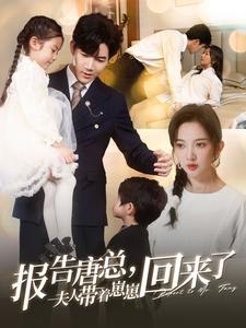报告唐总夫人带着崽崽回来了（100集）系统戏太金手指