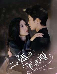 二婚有点甜（88集）灵泉戏太修仙