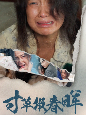 寸草报春晖（65集）朝堂短剧
