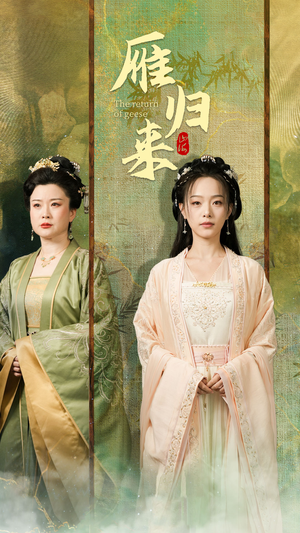 雁归来（65集）快节奏