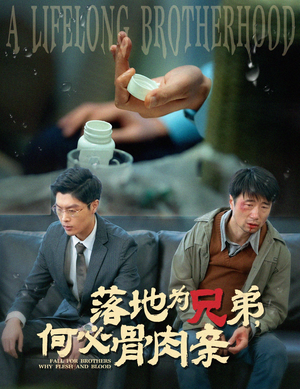 落地为兄弟，何必骨肉亲（60集）追剧清单
