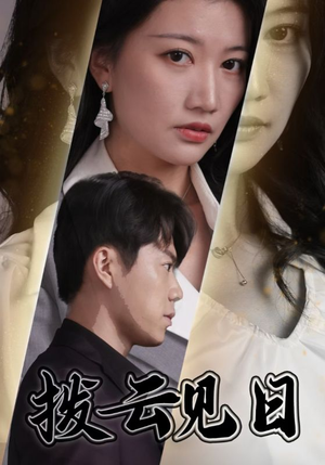 拨云见日(30集) 拨云见日(30集)最佳男主