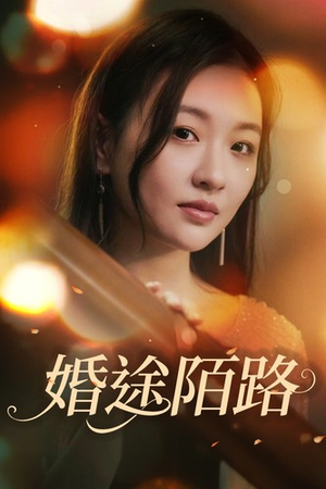 婚途陌路(15集) 婚途陌路(15集)全程无尿点
