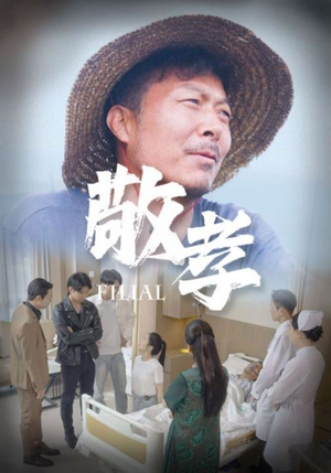 敬孝（61集）红果免费短剧