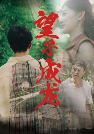 望子成龙（74集）刚出的短剧