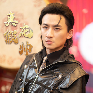 真假龙帅（81集）系列短剧