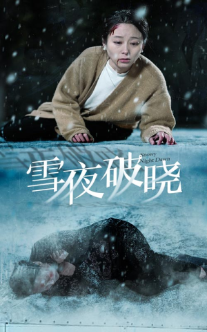 雪夜破晓（36集）舍不得看完
