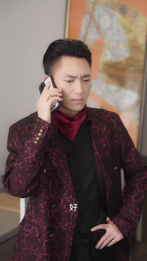 寻找灰公主的秘密(76集) 寻找灰公主的秘密(76集)车祸梗