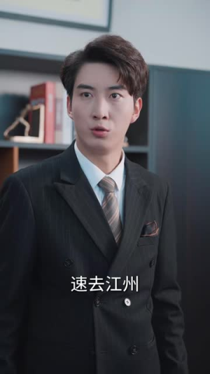 人中之凤（68集）在线观看