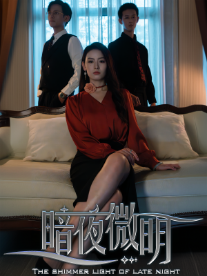 暗夜微明（70集）怎么看