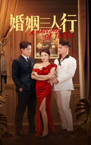 婚姻三人行（31集）翻拍短剧