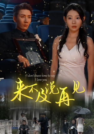 来不及说再见(30集) 来不及说再见(30集)青梅竹马