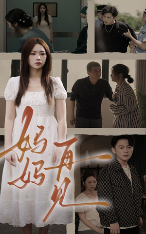 妈妈，再见（28集）奶爸