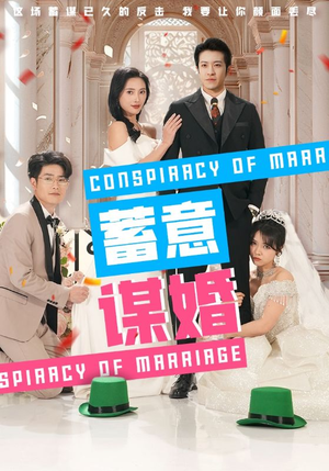 蓄意谋婚（30集）季度高分短剧