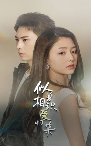似曾相识爱归来（77集）全网最全合集库