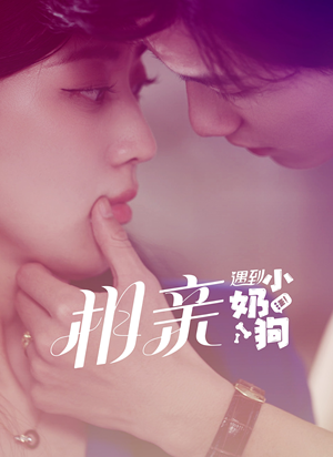 相亲遇到小奶狗（80集）每日同步更新追更日历表
