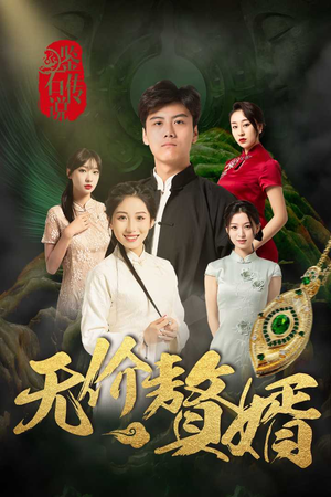 鉴宝传说之无价赘婿(100集) 鉴宝传说之无价赘婿(100集)最佳编剧