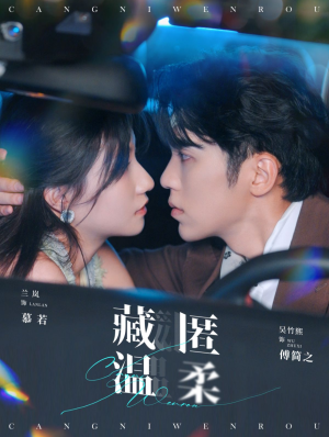 藏匿温柔（99集）权谋