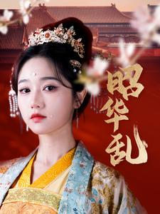 昭华乱(86集) 昭华乱(86集)小成本大制作