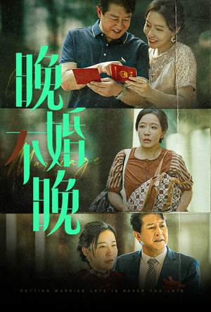 晚婚不晚（30集）豆瓣评分