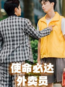使命必达外卖员(31集) 使命必达外卖员(31集)无片头
