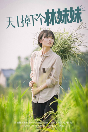 天上掉下个林妹妹(81集) 天上掉下个林妹妹(81集)限定短剧
