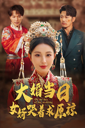 大婚当日，女婿哭着求原谅（31集）全集免费