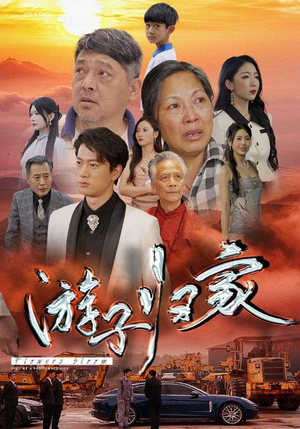 游子归家（88集）超燃短剧