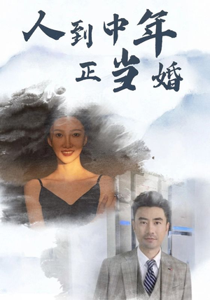 人到中年正当婚（81集）2026最新