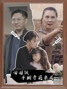 团圆饭手撕奇葩亲戚（40集）短剧暑期档
